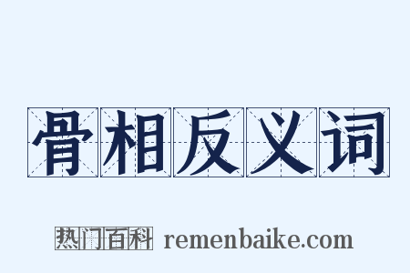 骨相反义词是什么意思的图片
